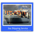 Best sea cargo to India from China--ada skype:colsales10